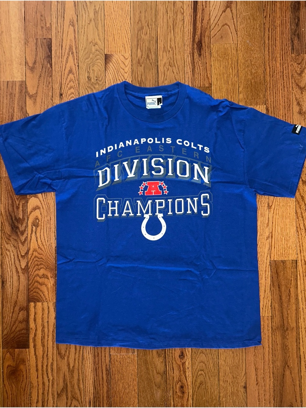 Indianapolis Colts AFC Eastern Division Champions Puma Vintage T-Shirt Sz Large